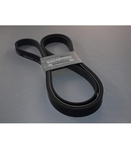 Amazon.com: Nissan Genuine 11720-EA200 Fan and Alternator Belt